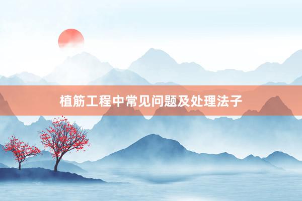 植筋工程中常见问题及处理法子
